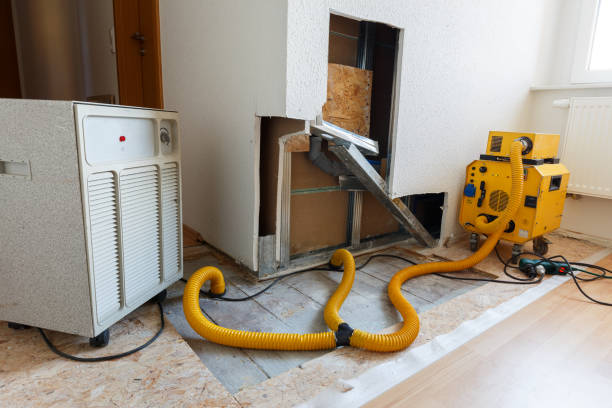 Best Mold Prevention Services  in Lorena, TX