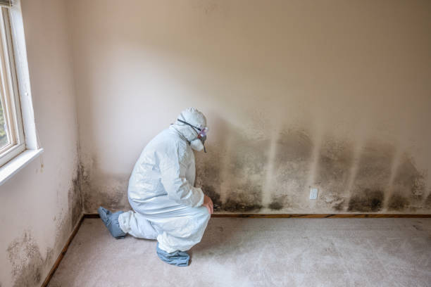 Best Air Quality Testing for Mold Spores  in Lorena, TX
